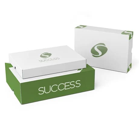 Boîtes en carton avec couvercle, résistantes et pratiques pour l’expédition